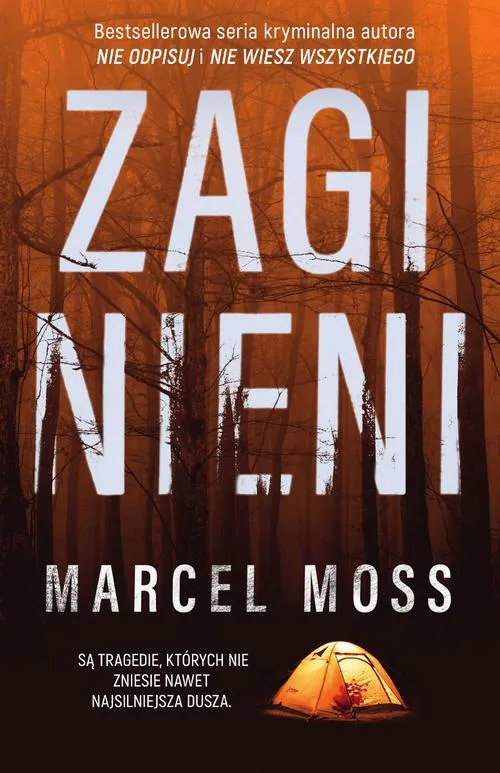 e-book-zaginieni