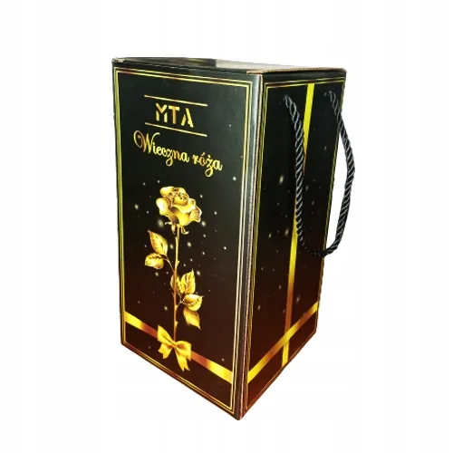 nagrywajaca-mata-do-tanczenia-wysokosc-22-cm