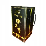 nagrywajaca-mata-do-tanczenia-wysokosc-22-cm