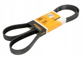 continental-ctam-con-pasek-wieloklinowy-6-pk-1613