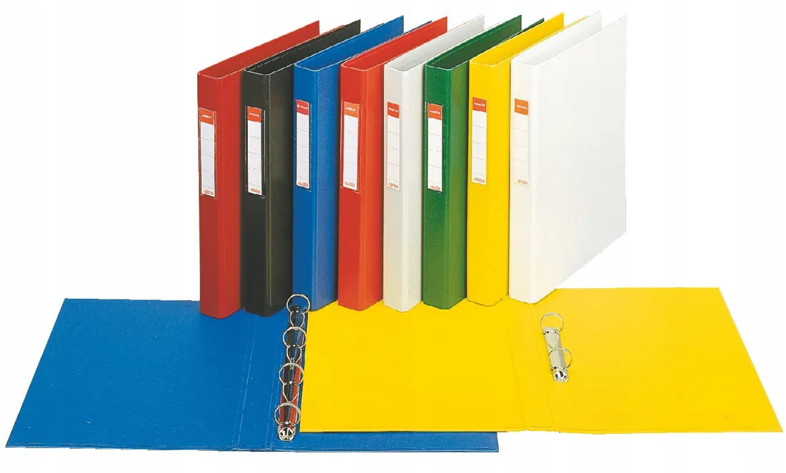 segregator-esselte-z-2-ringami-a4-42mm-bialy