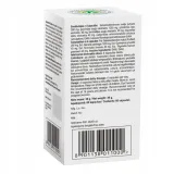 himalaya-ayurslim-60-kapsulek-cechy-dodatkowe-bez-cukru
