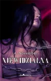 niewidzialna-a-november