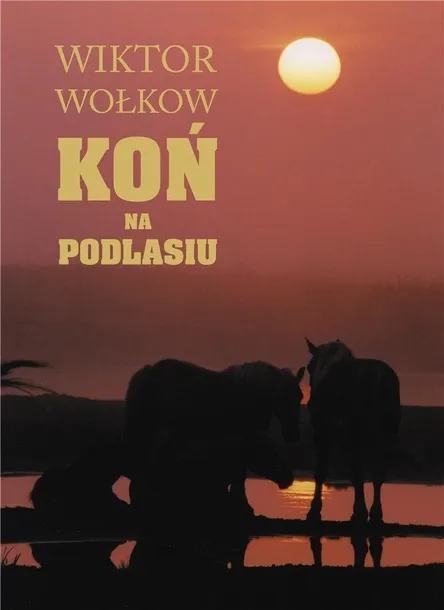 kon-na-podlasiu-wiktor-wolkow