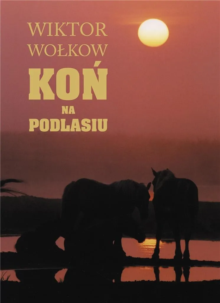 Grafika w opisie produktu