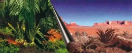 ebi-tlo-dwustronne-jungle-desert-60x30cm-hit