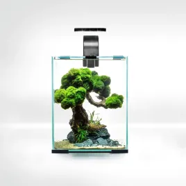 aquael-shrimp-set-10l-czarny-day-night-20x20x25cm