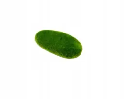 aqua-nova-kamien-z-mchem-81-9-4-10x5cm-dekoracja