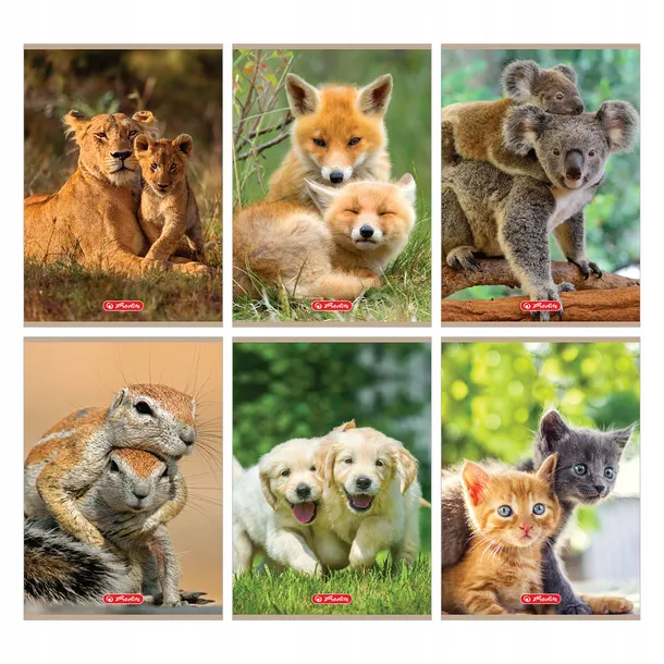 zeszyt-a5-16k-animals-marka-herlitz