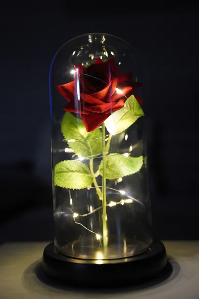 nagrywajaca-mata-do-tanczenia-marka-mta