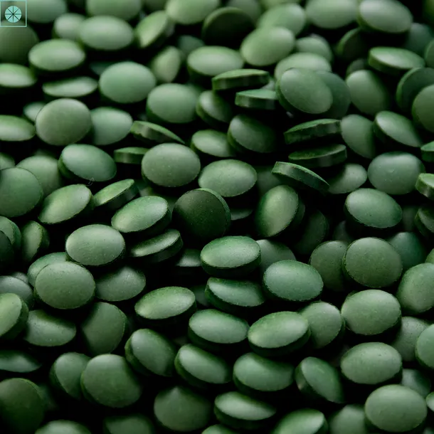 chlorella-biolagi-500-mg-250-tabletek-liczba-sztuk-250-szt
