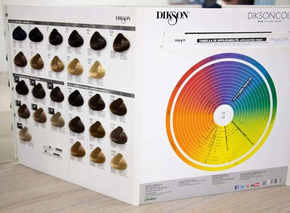 Dikson Color paleta kolorów 147754956 ERLI.pl