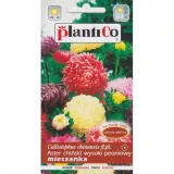 aster-chinski-peoniowy-mieszanka-rodzaj-rosliny-astry