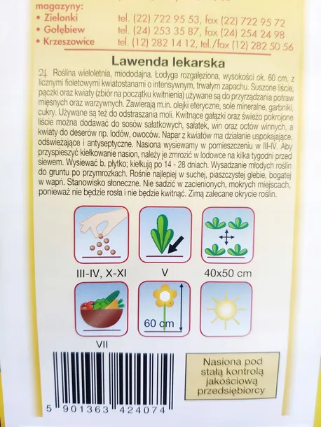 lawenda-lekarska-cechy-charakterystyczne-lubiace-slonce-proste-w-pielegnacji-przyjazne-dla-zwierzat