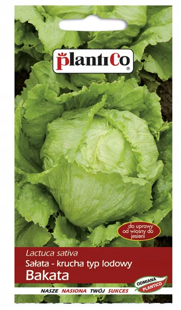 salata-bakata-plantico-styl-ogrod-wiejski