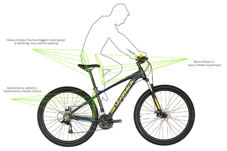 silverback-mtb-stride-delight-29-fluo-niebieski-xs-stan-nowy-rozmiar-ramy-13-cali