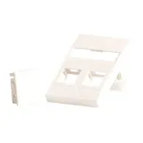 lanview-wall-plate-for-2-x-keystone