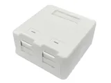 lanview-surface-mount-box-for-2-x