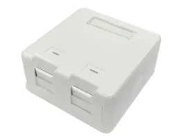 lanview-surface-mount-box-for-2-x