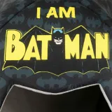 legowisko-dla-psa-batman-czarny-kolor-inny