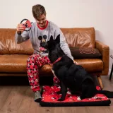 legowisko-dla-psa-minnie-mouse-niebieski-kolor-inny
