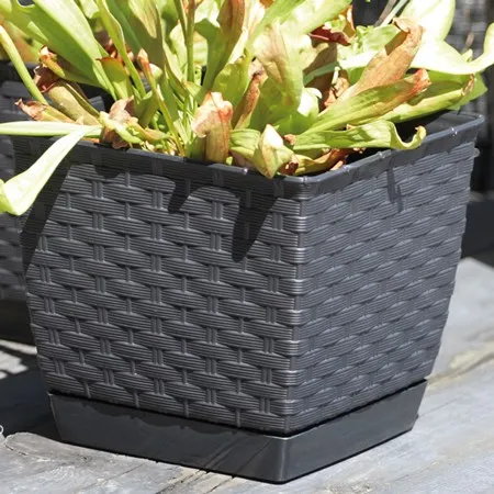 doniczka-ratolla-bialy-drlk190-s449-dlugosc-19-cm