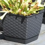 doniczka-ratolla-bialy-drlk190-s449-dlugosc-19-cm