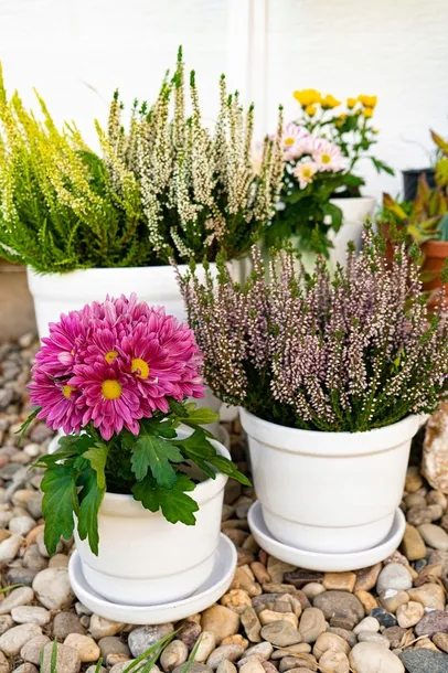 doniczka-ceramiczna-biala-16-cm-srednica-16-cm