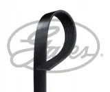 pasek-wieloklinowy-db-gl450-4-0d-09-gates-8pk2285xs-gates-numer-katalogowy-oryginalu-mercedes-benz-0019931996-mercedes-benz-a0019931996