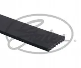 pasek-wielorowkowy-gates-gates-8pk1218-gates-stan-nowy-numer-katalogowy-oryginalu-mazda-rf8g15909