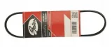 pasek-wielorowkowy-gates-gates-5pk1148-gates-wersja-europejska