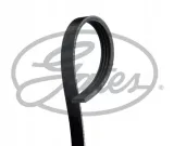 pasek-wielorowkowy-gates-gates-4pk806sf-sf-gates-waga-z-opakowaniem-2-kg