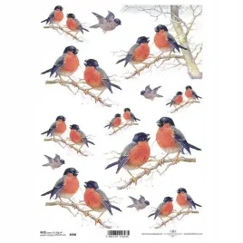 papier-ryzowy-a4-do-decoupage-itd-r0590-ptaki