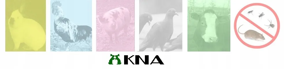 poidlo-poidla-05l-dla-krolikow-smoczek-nierdzewny
