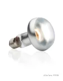 zarowka-intense-basking-spot-grzewcza-100w-nazwa-handlowa-intense-basking-spot