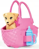 sl-steffi-na-spacerze-z-psami-marka-simba