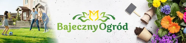 nozyce-do-zywoplotu-wolf-garten-zasilanie-inne