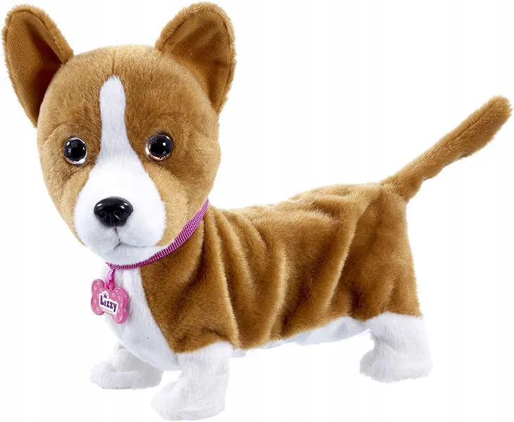 animagic-lizzy-corgi-certyfikaty-opinie-atesty-ce