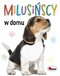 milusinscy-w-domu-awm