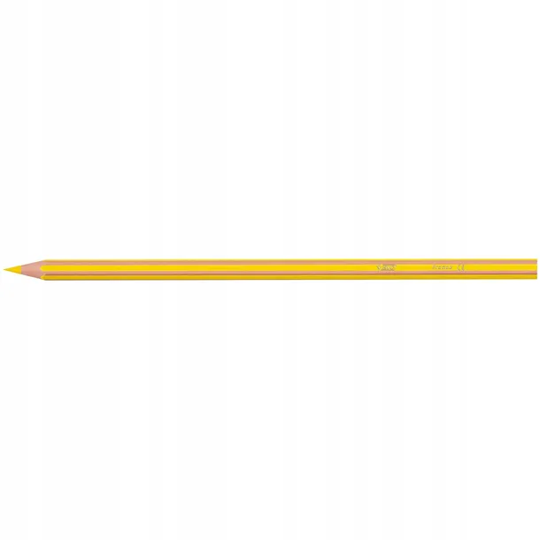 kredki-kids-eco-evolution-stripes-24-kolory-bic-b-bohater-brak