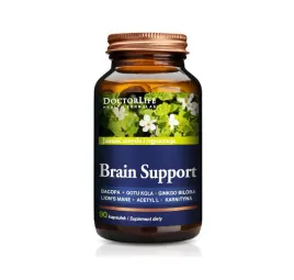 brain-support-90-kaps-doctor-life