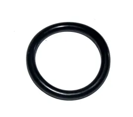 oring-412x570