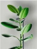 podpora-do-roslin-pojedyncza-35cm-1szt-stan-nowy