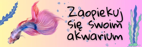undefined_undefined