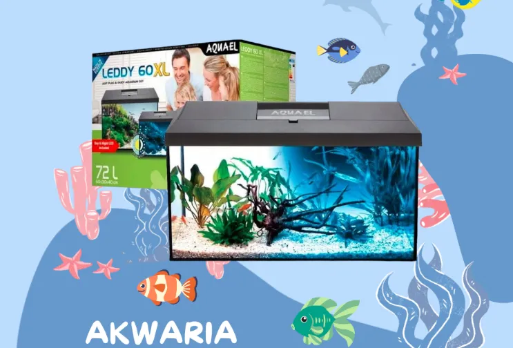 undefined_undefined