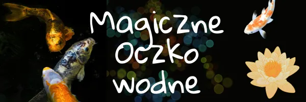 undefined_undefined