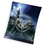 koc-130x170-harry-potter-hogwarth