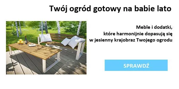 newsletter-stan-nowy