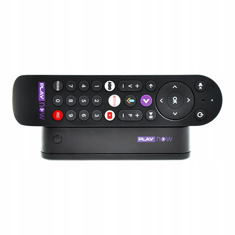 【*pnish*】DVD 『ほっとけナイ！*pnish*TV』 駿河屋 -<中古>ほっとけナイ!*pnish*TV DVD VOL.1（その他）