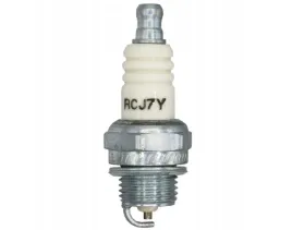 champion-swieca-zaplonowa-cj7y-t10